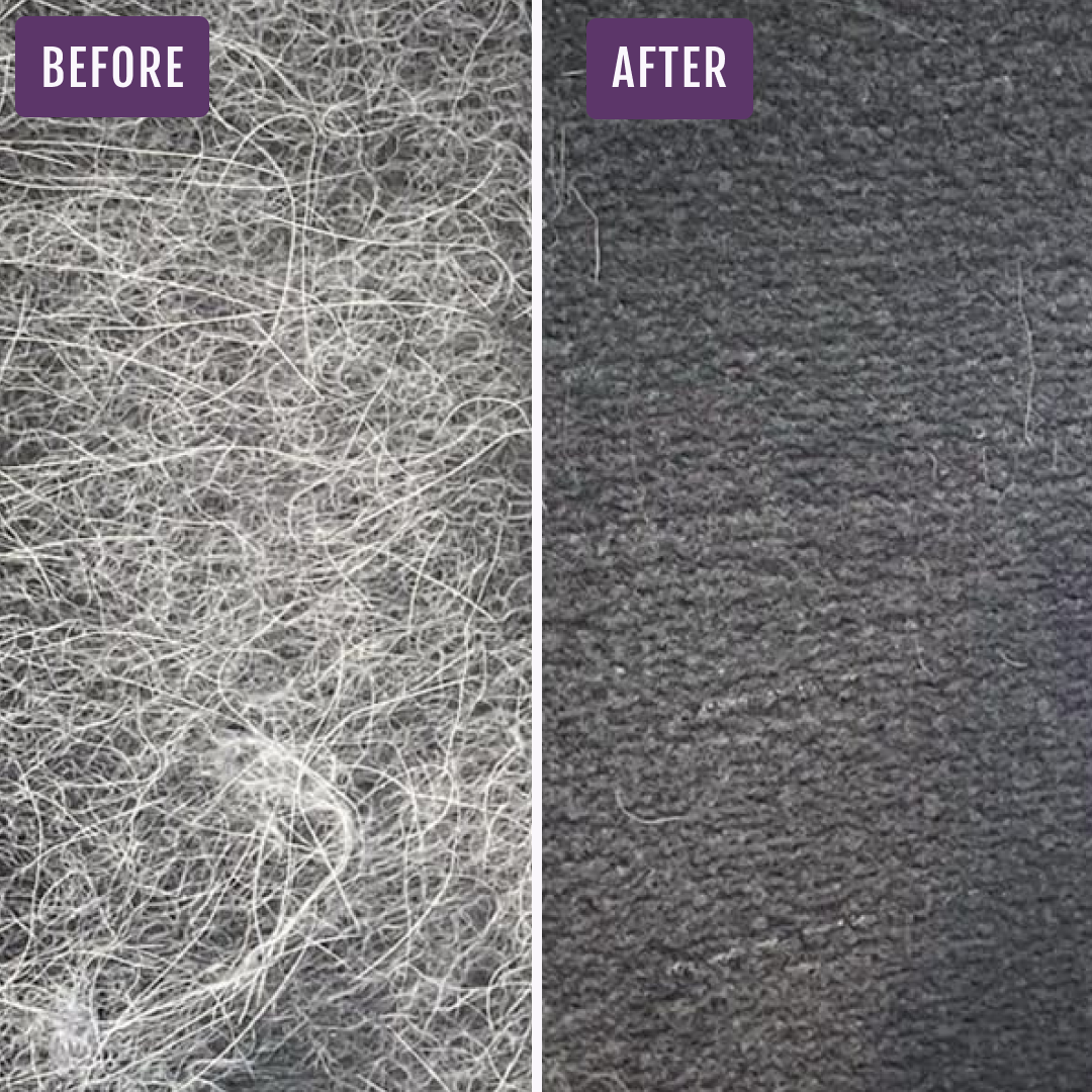 Before and after image showing a dark fabric surface covered in white pet hair, followed by the same surface free of pet hair after using a pet hair removal tool.