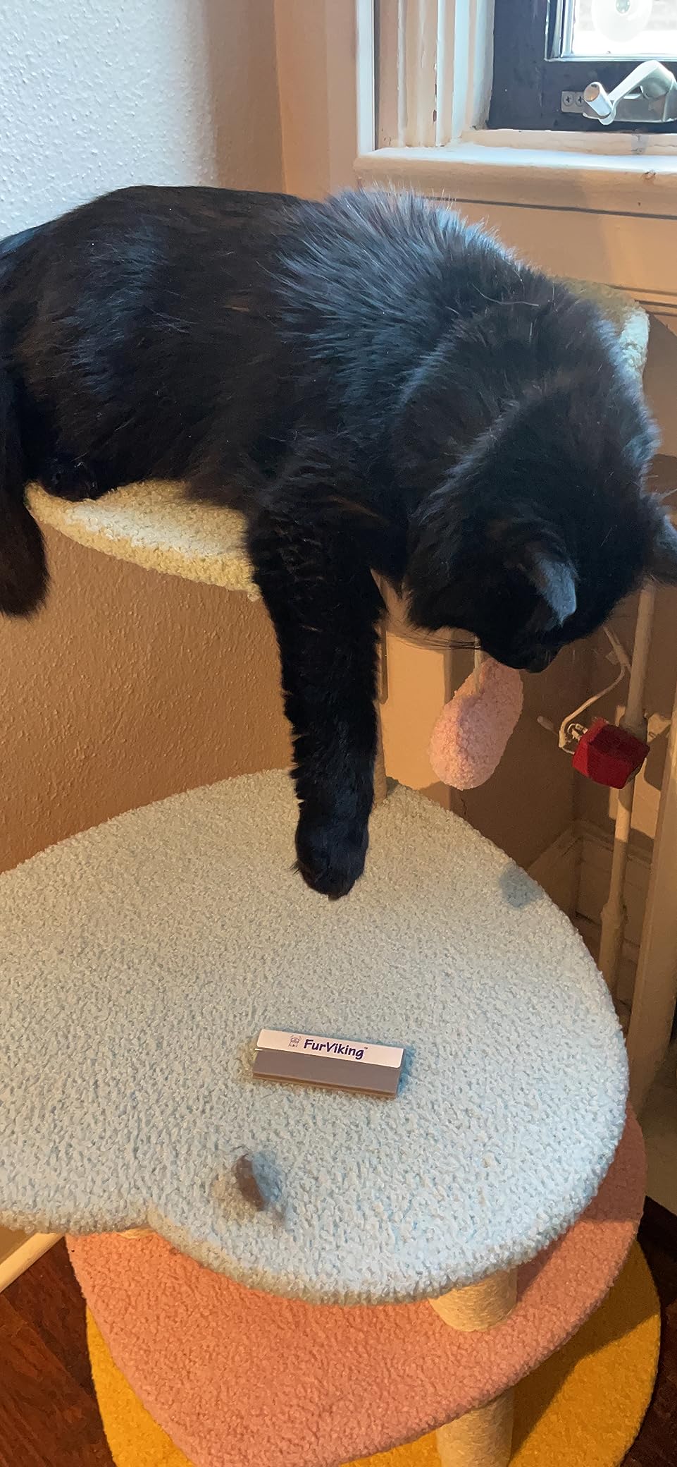 Black cat resting on a multi-level cat tree with a FurViking pet hair remover tool on the bottom platform.